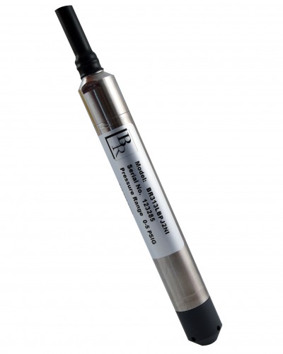 BR_313L-NI_web1-400x500