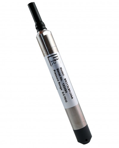 BR_313L_web2-400x500